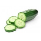 CUCUMBER YKL0184