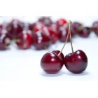 CHERRY YKL0004