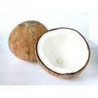 COCONUT YKL0008